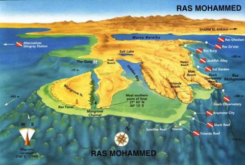ras-mohammed